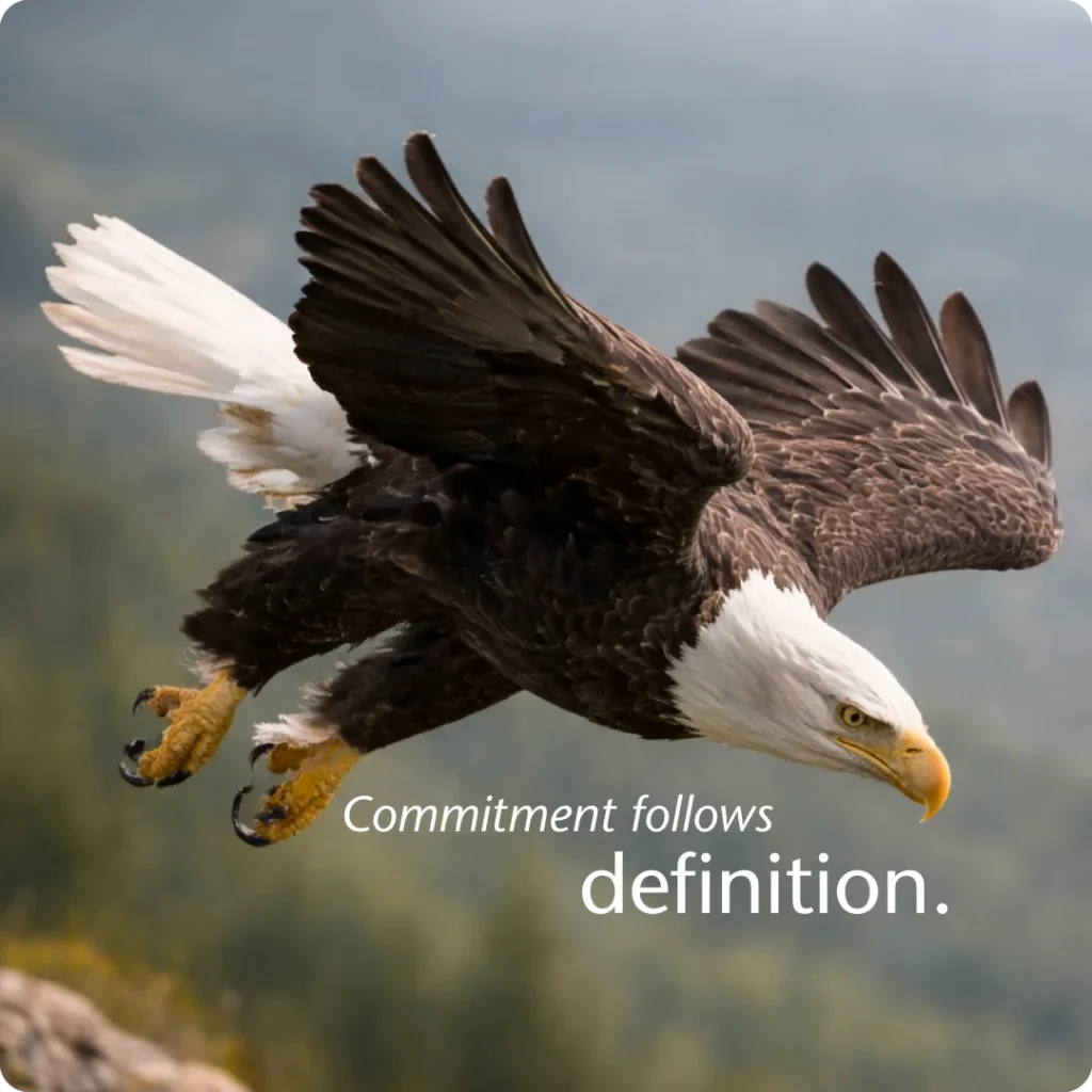 Value proposition guides committed action, shown by a white-headed eagle descending with talons extended in sharp focus.