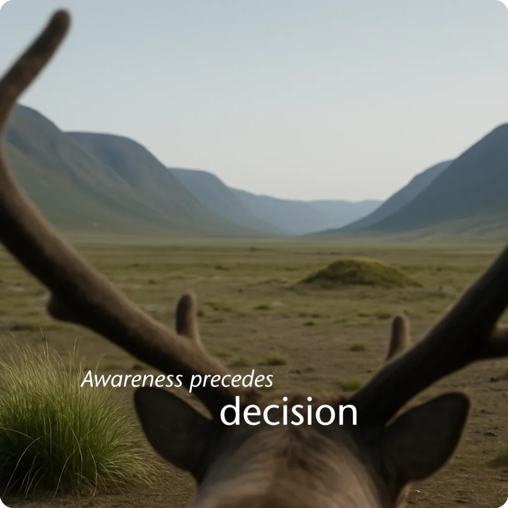 Purpose creates awareness and informed direction, expressed through a valley observed from a reindeer’s point of view.