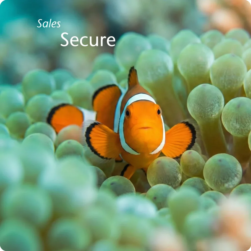 A business thrives when secured by a primary customer, shown through an Ocellaris clownfish safe inside its green anemone host, looking at the camera.