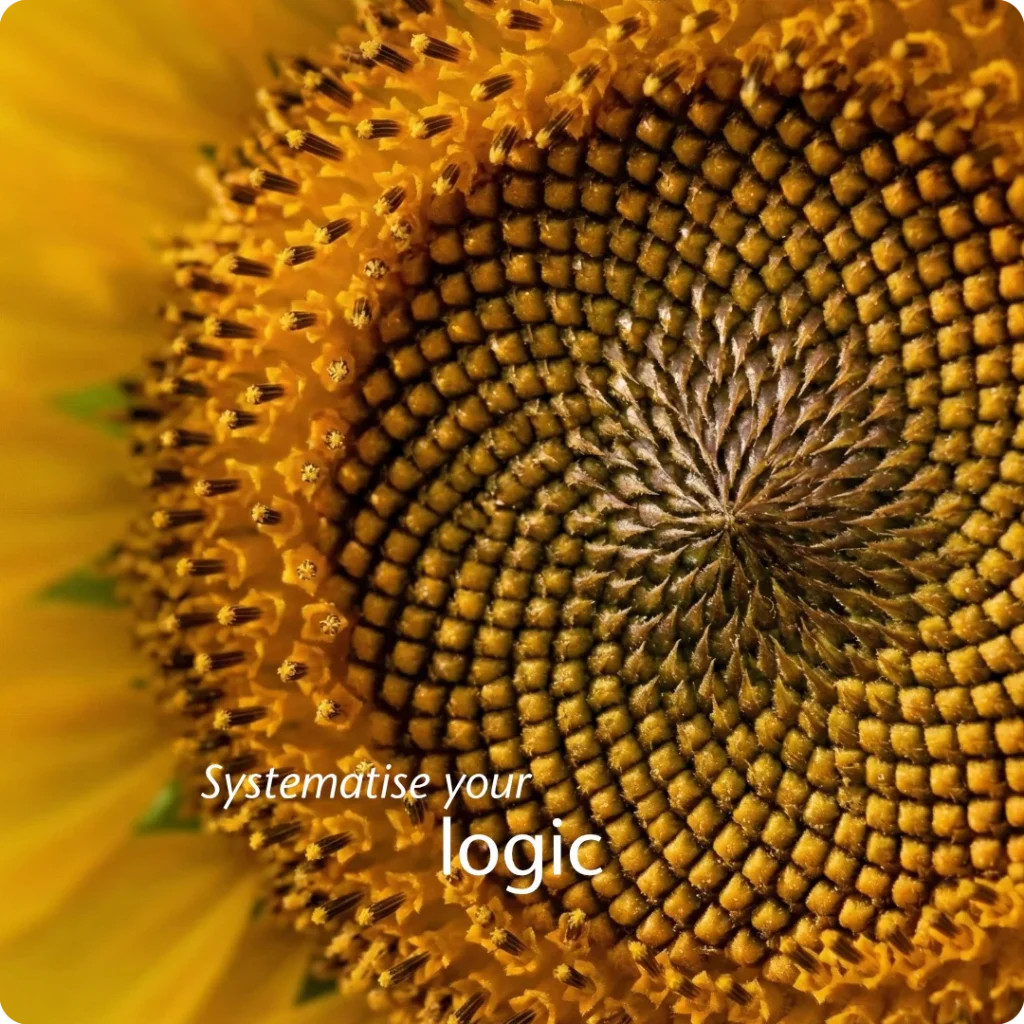 Branding logic provides the internal geometry for business growth, shown through an extreme macro shot of the mathematically perfect Fibonacci spiral in a sunflower seed head.