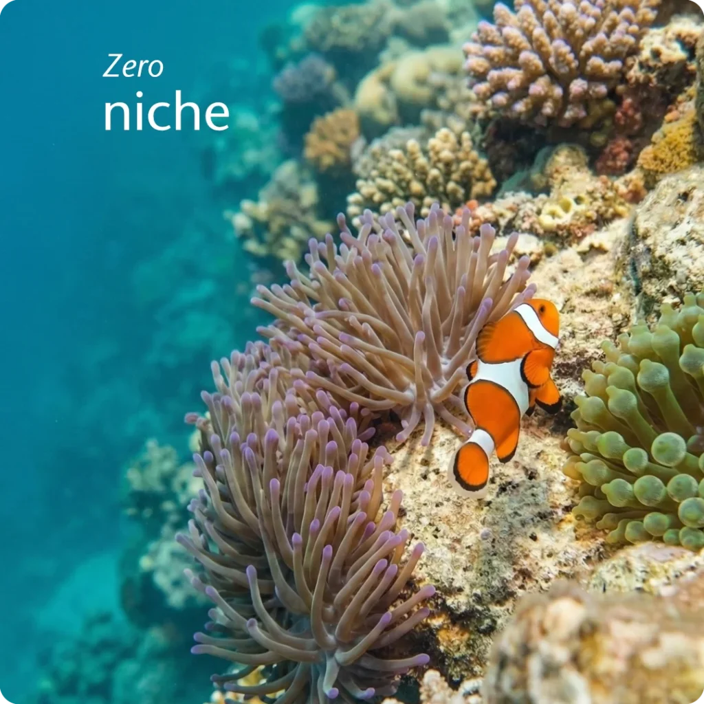 The tension of undefined marketing is shown by an Ocellaris clownfish stuck in open water between two different types of anemones on a coral reef.