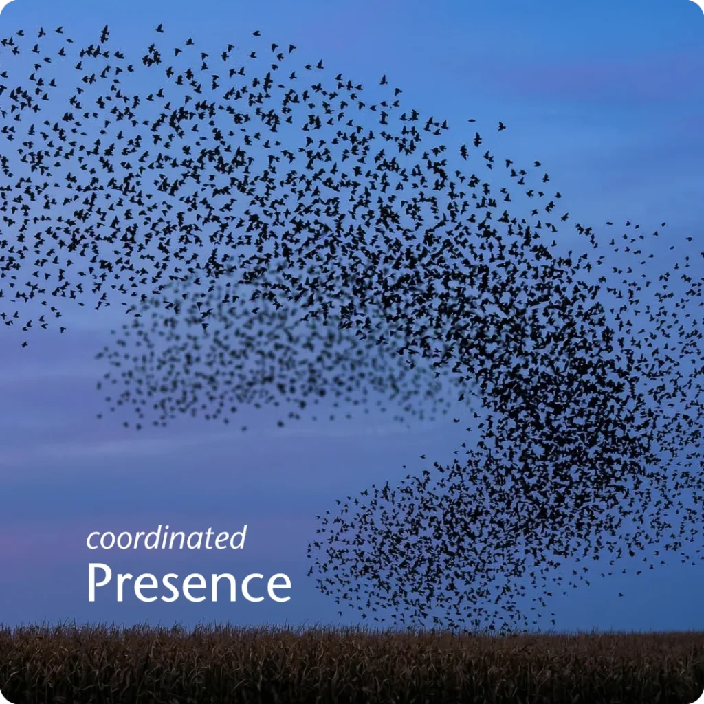 Scaled momentum and the stability of a unified brand are shown through a massive, sweeping European Starling murmuration twisting and turning as one grand organism over a dark cornfield silhouette at dusk.