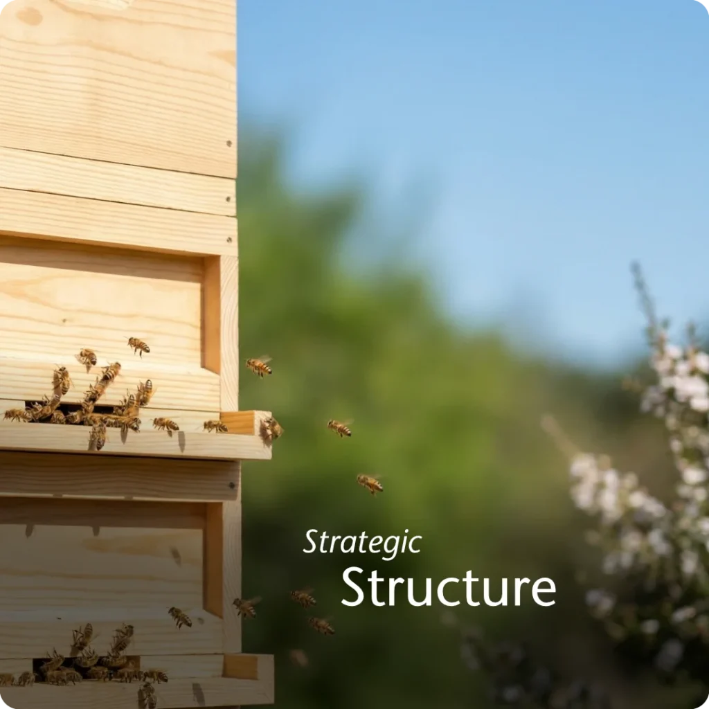 Constraint/intervention shown through pinewood beehives with bees moving in and out, channeling traffic into strategic focus.