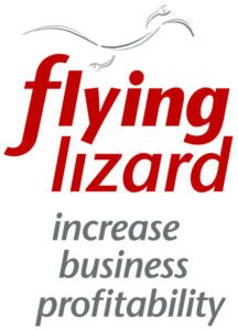 flying lizard business logo with byline increase business profitability