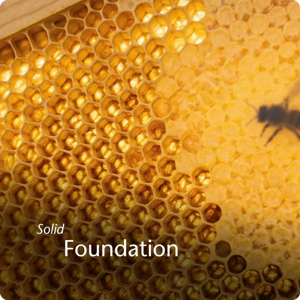 Stability shown through a sunlit honeycomb, illustrating a well‑structured system that holds value.