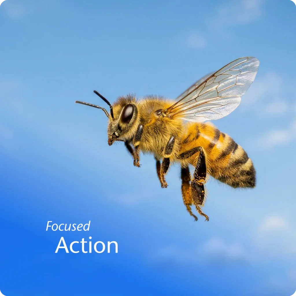 Tactics anchor shown through a honeybee in mid‑flight, capturing focused action that supports overall strategy.