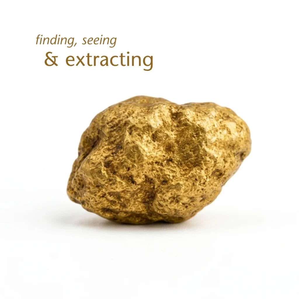 Flying Lizard, Brand strategy. Critical thinking and original thought to help with the goal of finding, seeing and extracting. Shown as a gold nugget visual metaphor.